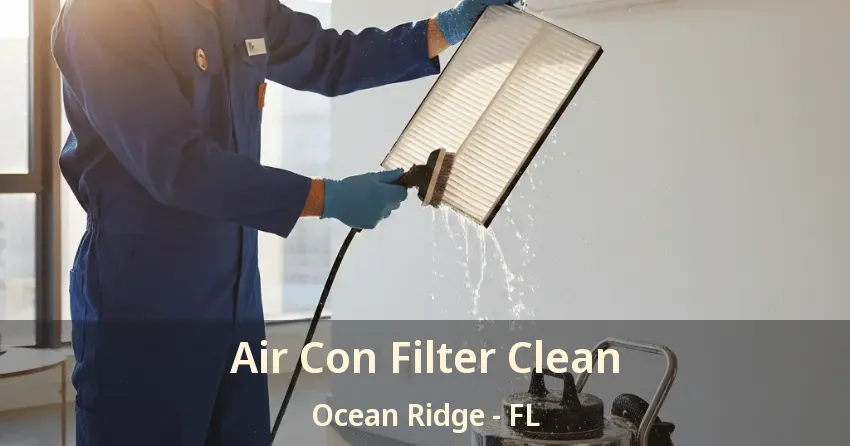 Air Con Filter Clean Ocean Ridge - FL