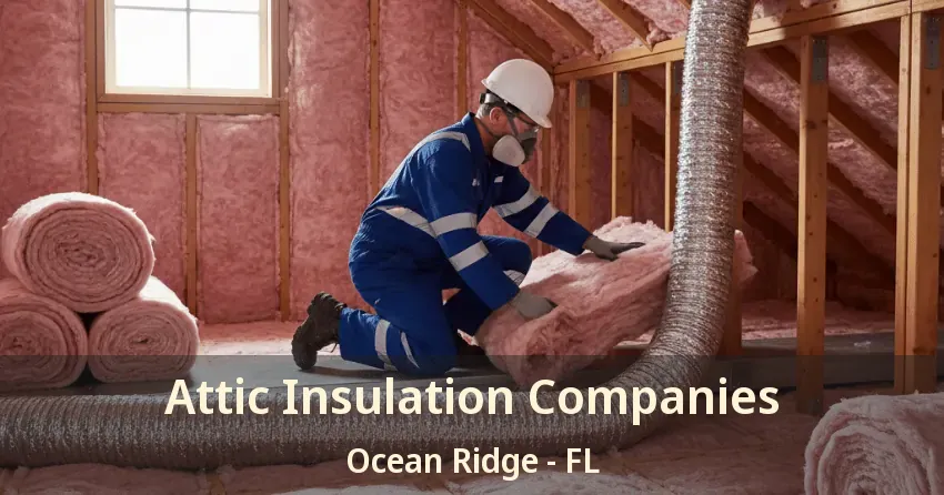 Attic Insulation Companies Ocean Ridge - FL Attic Insulation Companies Ocean Ridge - FL