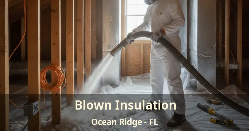 Blown Insulation Ocean Ridge - FL
