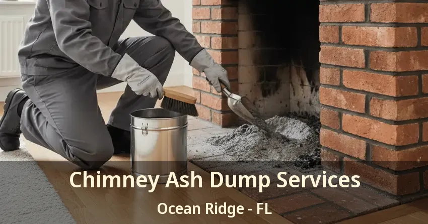Chimney Ash Dump Services Ocean Ridge - FL