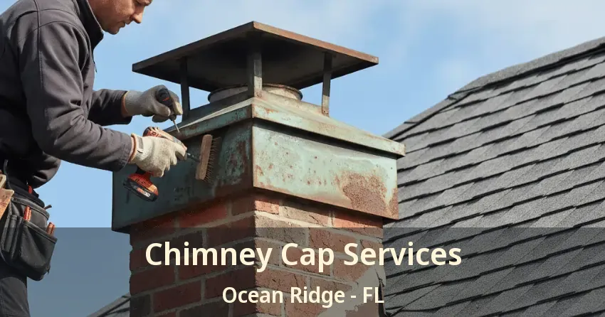 Chimney Cap Services Ocean Ridge - FL