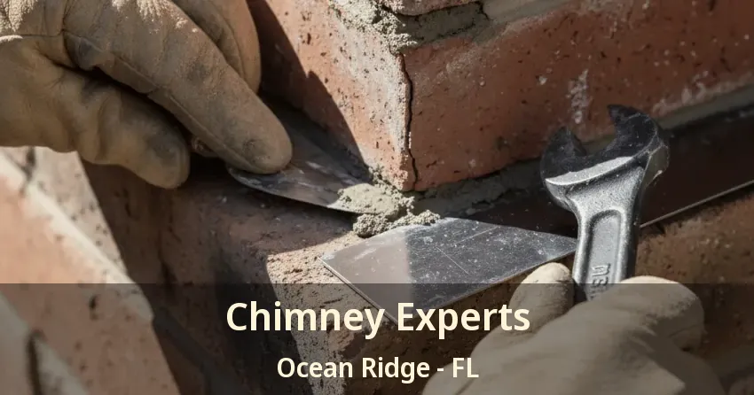Chimney Experts Ocean Ridge - FL
