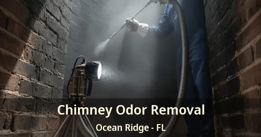 Chimney Odor Removal Ocean Ridge - FL Chimney Odor Removal Ocean Ridge - FL