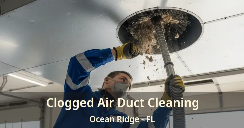 Clogged Air Duct Cleaning Ocean Ridge - FL