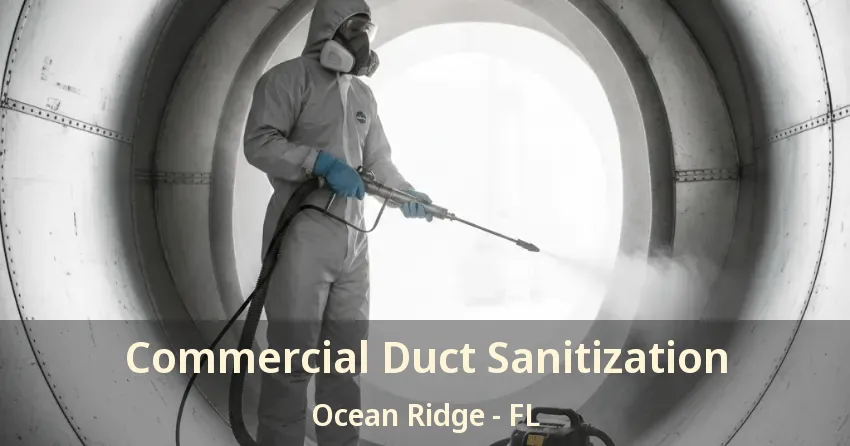 Commercial Duct Sanitization Ocean Ridge - FL Commercial Duct Sanitization Ocean Ridge - FL