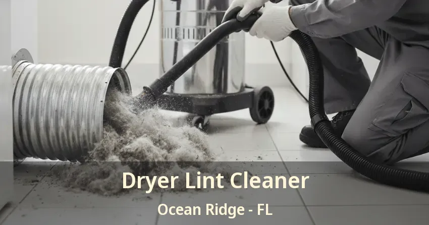 Dryer Lint Cleaner Ocean Ridge - FL Dryer Lint Cleaner Ocean Ridge - FL
