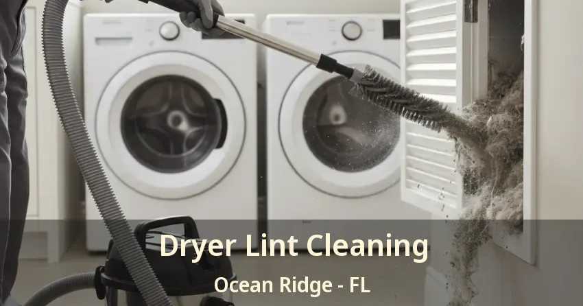 Dryer Lint Cleaning Ocean Ridge - FL