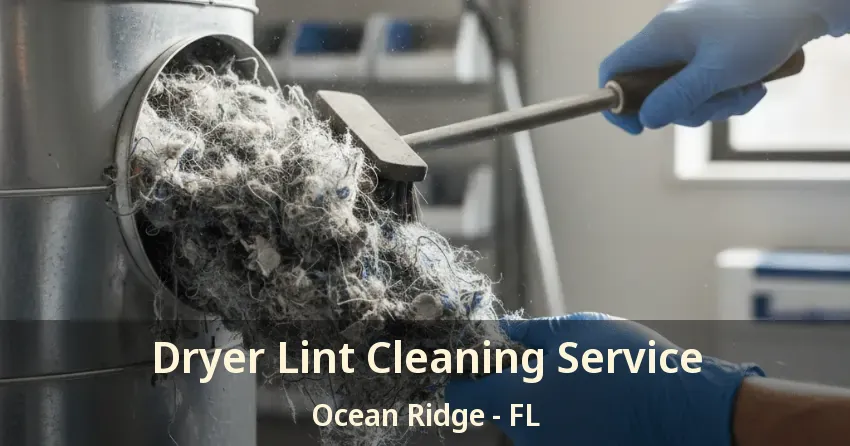 Dryer Lint Cleaning Service Ocean Ridge - FL