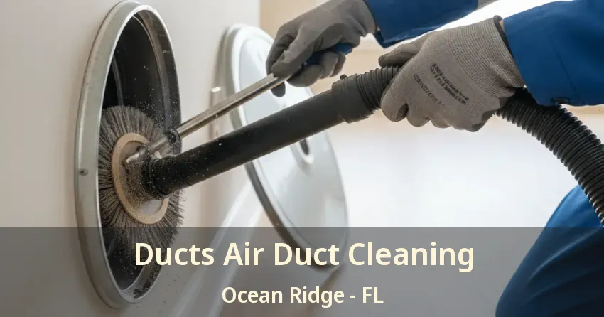 Ducts Air Duct Cleaning Ocean Ridge - FL