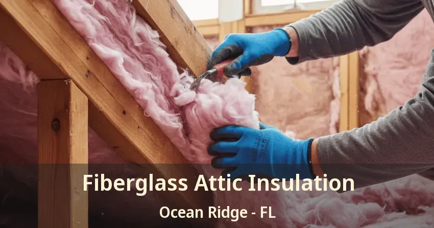 Fiberglass Attic Insulation Ocean Ridge - FL Fiberglass Attic Insulation Ocean Ridge - FL