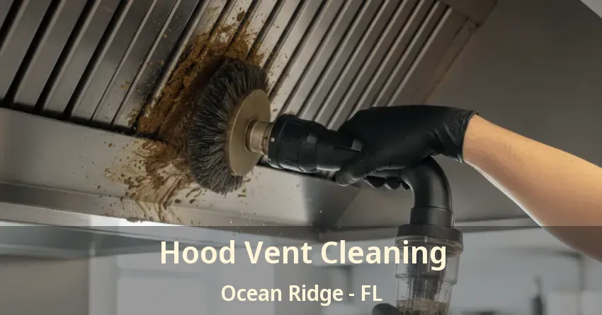 Hood Vent Cleaning Ocean Ridge - FL
