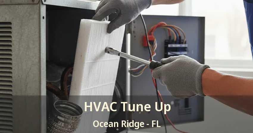 HVAC Tune Up Ocean Ridge - FL