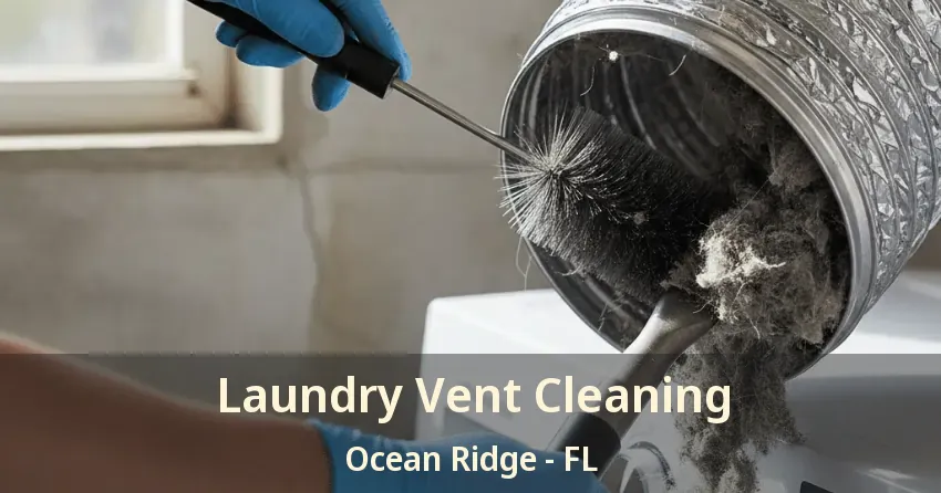 Laundry Vent Cleaning Ocean Ridge - FL