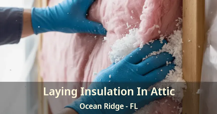 Laying Insulation In Attic Ocean Ridge - FL