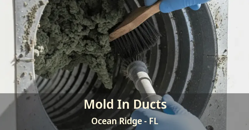 Mold In Ducts Ocean Ridge - FL
