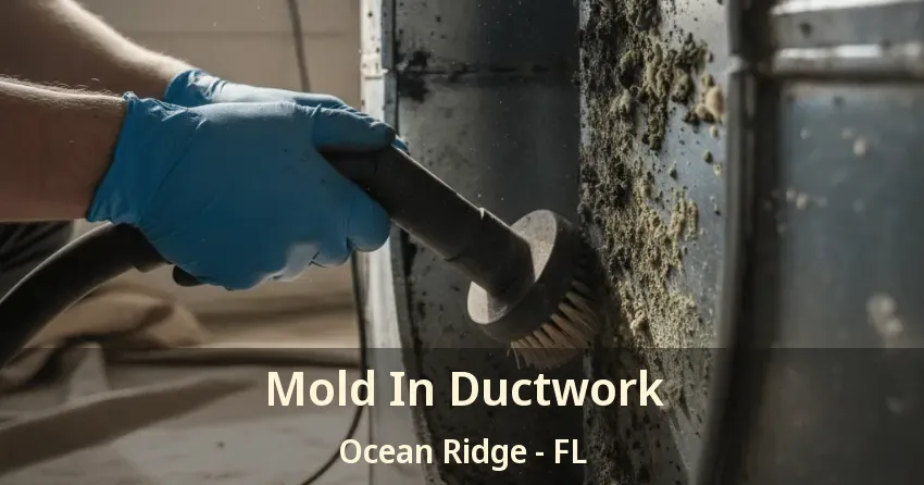 Mold In Ductwork Ocean Ridge - FL