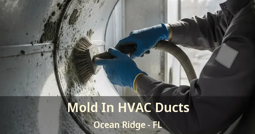 Mold In HVAC Ducts Ocean Ridge - FL
